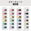 Copic Aqulaire Light 6 Color Set Water Marker Marker