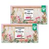 Center-in Compact 1/2 Sweet for Heavy Days, With Wings, 44 Sheets (22 Sheets x 2), Sanitary Napkins, Slim
