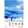 当下的力量 【正版】