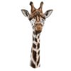 Giraffe Decal Window Sticker