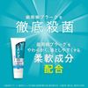 Lion Systema EX Extra Herb Toothpaste Powder, 15 Pieces Bulk Purchase Set + Kunutonn Original Logo e Bonus