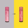 Burt Bees Tinted Lip Balm, Hibiscus, 0.15 ounce, 2 Count by Burt Bees