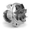Timing Chain Kit Water Pump Fit Ford Expedition E150 Econoline 4.6L WINDSOR