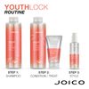 Joico YouthLock Shampoo Formulated With Collagen | Youthful Body & Bounce | Reduce Breakage & Frizz | Soften & Detangle Hair | Boost Shine | Sulfate Free | With Arginine | 33.8 Fl Oz