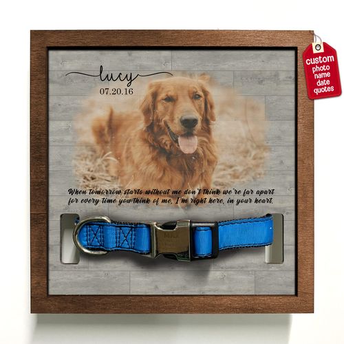BfiGift Personalized Dog Collar Frame Memorial Pet Loss Sign for Dog Lovers Collar Keepsake Picture Frame Remembrance Dogs Best Gifts With Heartfelt Sentimental Quote For Someone Who Lost A Pet Cats