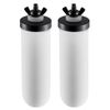 Purification Water Filter Replacement for Gravity Filter System 2 Pack