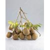 Fresh Longans (2lb) (Fresh Longans (4lb))