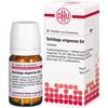 DHU Solidago virgaurea D4 Tabletten, 80 St. Tabletten