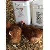10pc Best Chicken Nipple Waterer Automatic Poultry Drinker Quail Peacock Pigeon