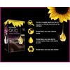 Garnier Olia Hair Dye 4.15