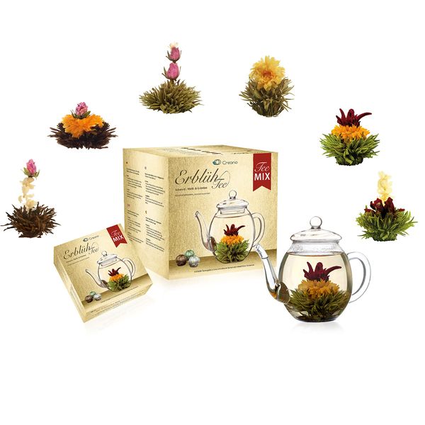 Creano Tea Flowers Mix Golden Gift Set Blooming Tea with Glass Teapot White, Green & Black Tea in 6 Varieties Tea Flower Blooming Tea Gift for Women