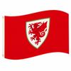 FA Wales Flag CC Official Merchandise