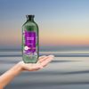 Passion Flower Sulfate-Free Shampoo, 13.5 fl oz, 1 Pack