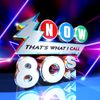 NOW Thats What I Call The 80s