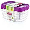 Hobby Life 0.6 Litre 3-Piece Plastic Trend Rectangular Storage/Food Saver Box Set, Transparent