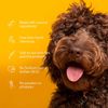 for Pets Super Deodorizing Spray for Dogs | Best Odor Eliminating Spray for A...