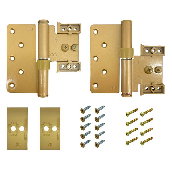 Murakoshi Seiko DH-5 3D Adjustable Hinge for Interior Doors Top and Bottom Set, Gold