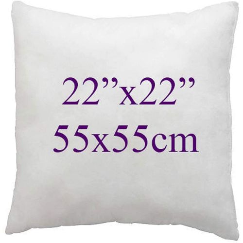 ARLINENS Hollow fibre Cushion New White Pads Inner insert Stuffer Pillow Hypoallergenic Square Cushions for Sofa Bed & Couch in 12", 14", 16", 18", 20", 22", 24", 26", 28", 30" (1, 22x22)
