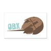CafePress Horseshoe Crab OBX Rectangle Car Bumper Magnet
