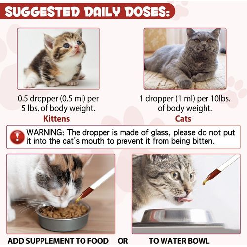 Liquid Iron for Cats Vitamin C & B12,Supports Anemia, Low Enegry and Lethargy
