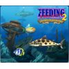 Feeding Frenzy 2: Shipwreck Showdown