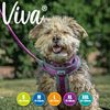 Ancol Viva Padded Harness Purple L 52-71cm