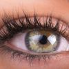 Organys Lash & Brow Serum (3-pack (0.25 fl oz / 7.5 ml each))