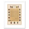 Wee Blue Coo Us Declaration Independence Framed Wall Art Print