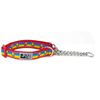 RC Pets 3/4" Martingale Training Dog Collar, Small, Rainbow Paws