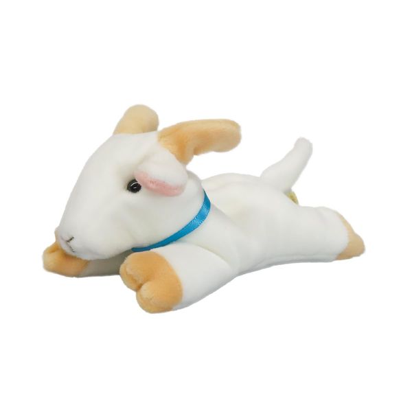 takeoff pokepuni goat male