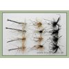 Daddy Long Legs Trout flies, 12 Per Pack, Size 10, Black, Detached, Standard