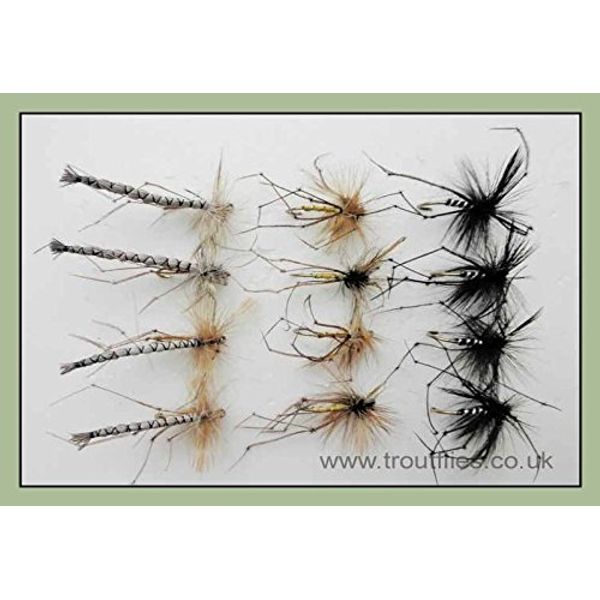 Daddy Long Legs Trout flies, 12 Per Pack, Size 10, Black, Detached, Standard