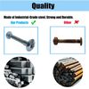 Fuoequl Trailer Hasp Bolt Kit for Trailer Cam Action Hasp