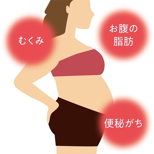 【第2類医薬品】ツムラ漢方防風通聖散エキス顆粒 48包