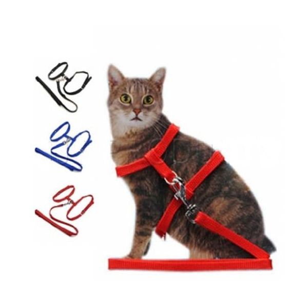Cat Harness (Lead/Leash/Collar) - Blue