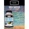 Irish Sea Moss, Bladderwrack & Burdock, Thyroid & Immune Support, Natural Energy