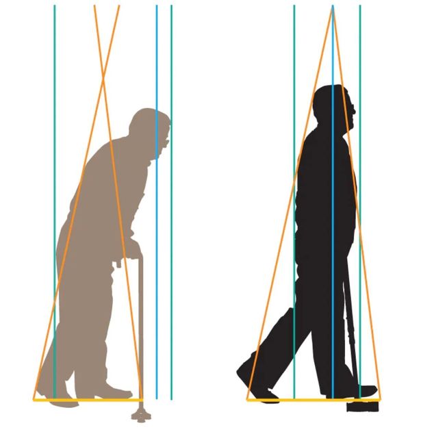 The 3rd Foot Cane by Aligned As Designed Best Posture, Balance, Stability & Alignment Walking Cane for Men, Woman & Seniors