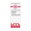 DHU Haronga D4 Streukügelchen, 10 g Globuli