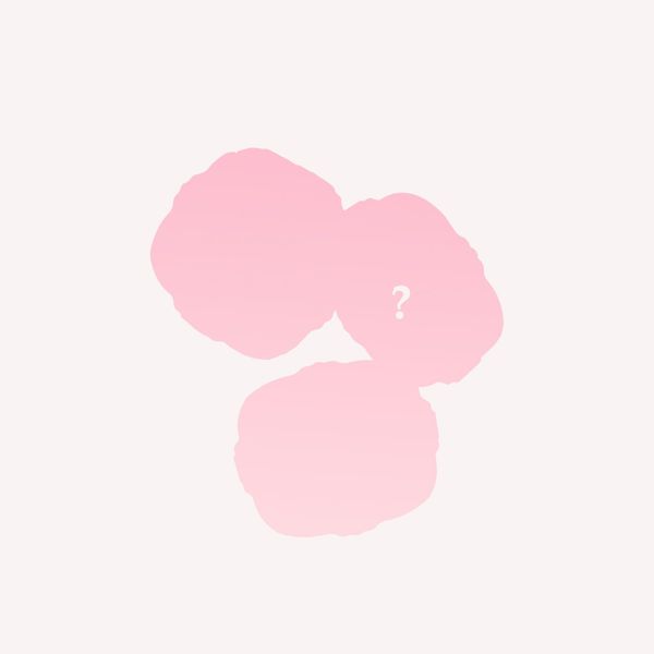 Flower Knows Blush Random Set,Value at $28-$44,Includes Powder,Cream,Liquid Blush (Blush*1)