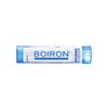 Boiron Magnesia Phosphorica 9C for Spasmodic Pain in The Abdomen - 80 Pellets