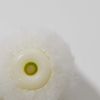 Hake City Mini Small Roller White 3 inch 5mm 10 Pcs Paint Roller Value Set