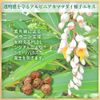Niacinamide Cosmesse 4843 Nonnon Nonnon Quasi-drug Medicated Cream 32g Whitening Wrinkle Improvement Aging Care Beauty Cream Dry Skin Sensitive Skin Countermeasure Japanese Herbal Plant Alpinia Kamatsudai Himefuuro Yuzu Ceramide