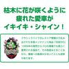 The Envious G rasutorimu-ba- 300ml + Multi Cleaner 1l