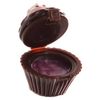 HoitoDeals Assorted Colour Lip Gloss in Fun Fairy Cake Holder (1Pcs)
