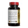 CANDIDA SUPPORT COMPLEX - digestive aid, candida support, black walnut wormwood