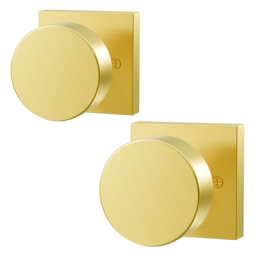 Euvovito 1 Pack Dummy Zinc-Alloy Heavy Duty Brushed Gold Interior Door Knob