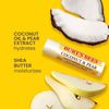 Burt's Bees Coconut and Pear Moisturizing Lip Balm, 0.15 oz