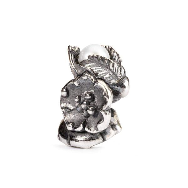 Trollbeads Silver 925 Bead Buckthorn of May