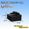 矢崎総業 250 Type 6 Pole mesukapura- Black