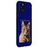 Massachusetts Territory Cat The Cute Brown Tabby Cat Case for iPhone 11 Pro Max